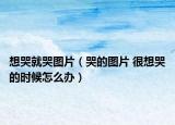 想哭就哭圖片（哭的圖片 很想哭的時候怎么辦）