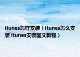 itunes怎樣安裝（itunes怎么安裝 itunes安裝圖文教程）