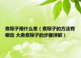 煮粽子用什么煮（煮粽子的方法有哪些 大鼎煮粽子的步驟詳解）