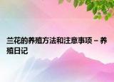 蘭花的養(yǎng)殖方法和注意事項(xiàng) – 養(yǎng)殖日記