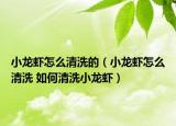 小龍蝦怎么清洗的（小龍蝦怎么清洗 如何清洗小龍蝦）