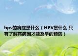 hpv的病癥是什么（HPV是什么 只有了解其病因才能及早的預(yù)防）