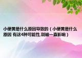 小便黃是什么原因?qū)е碌模ㄐ”泓S是什么原因 有這4種可能性,別被一直影響）