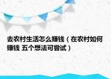 去農(nóng)村生活怎么賺錢（在農(nóng)村如何賺錢 五個(gè)想法可嘗試）