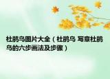 杜鵑鳥(niǎo)圖片大全（杜鵑鳥(niǎo) 寫(xiě)意杜鵑鳥(niǎo)的六步畫(huà)法及步驟）