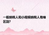 一般納稅人和小規(guī)模納稅人有啥區(qū)別?