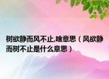 樹欲靜而風不止,啥意思（風欲靜而樹不止是什么意思）