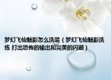 夢幻飛仙魅影怎么洗裝（夢幻飛仙魅影洗練 打出恐怖的輸出和完美的閃避）
