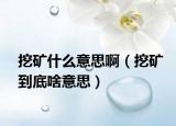 挖礦什么意思?。ㄍ诘V到底啥意思）