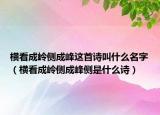 橫看成嶺側(cè)成峰這首詩(shī)叫什么名字（橫看成嶺側(cè)成峰側(cè)是什么詩(shī)）