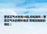 藿香正氣水妙用16招,你知道嗎（藿香正氣水的奇妙用法 有哪些隱匿的用處）