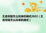 王者榮耀怎么玩單機(jī)模式2022（王者榮耀怎么玩單機(jī)模式）