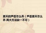 夏天的蘆薈怎么養(yǎng)（蘆薈夏天怎么養(yǎng) 兩大方法缺一不可）
