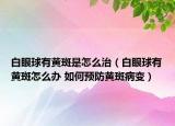 白眼球有黃斑是怎么治（白眼球有黃斑怎么辦 如何預(yù)防黃斑病變）