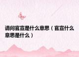 請(qǐng)問(wèn)官宣是什么意思（官宣什么意思是什么）