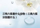 三牲六畜是什么動(dòng)物（三禽六畜分別是什么）