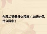 臺風17級是什么程度（18級臺風什么概念）