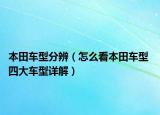 本田車型分辨（怎么看本田車型 四大車型詳解）