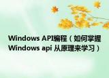 Windows API編程（如何掌握Windows api 從原理來(lái)學(xué)習(xí)）