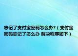 忘記了支付寶密碼怎么辦?（支付寶密碼忘記了怎么辦 解決程序如下）