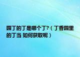 園丁的丁是哪個丁?（丁香園里的丁當 如何獲取呢）
