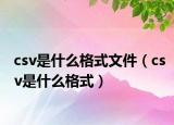 csv是什么格式文件（csv是什么格式）