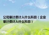 公司審計費計入什么科目（企業(yè)審計費計入什么科目）