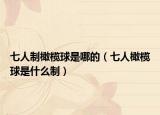 七人制橄欖球是哪的（七人橄欖球是什么制）