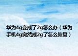 華為4g變成了2g怎么辦（華為手機4g突然成2g了怎么恢復）
