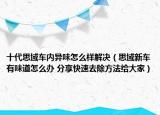 十代思域車內(nèi)異味怎么樣解決（思域新車有味道怎么辦 分享快速去除方法給大家）