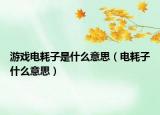 游戲電耗子是什么意思（電耗子什么意思）