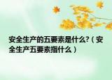 安全生產(chǎn)的五要素是什么?（安全生產(chǎn)五要素指什么）