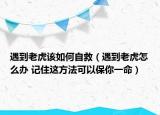 遇到老虎該如何自救（遇到老虎怎么辦 記住這方法可以保你一命）