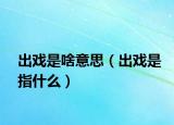 出戲是啥意思（出戲是指什么）