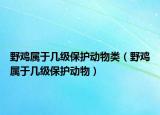 野雞屬于幾級保護動物類（野雞屬于幾級保護動物）