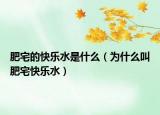 肥宅的快樂水是什么（為什么叫肥宅快樂水）