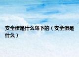 安全蛋是什么鳥下的（安全蛋是什么）