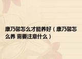 康乃馨怎么才能養(yǎng)好（康乃馨怎么養(yǎng) 需要注意什么）