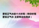 藿香正氣水的十大妙用（教你妙用藿香正氣水 主要有這些用途）