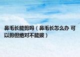 鼻毛長能剪嗎（鼻毛長怎么辦 可以剪但絕對不能拔）