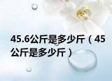 45.6公斤是多少斤（45公斤是多少斤）