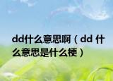 dd什么意思啊（dd 什么意思是什么梗）