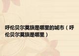 呼倫貝爾莫旗是哪里的城市（呼倫貝爾莫旗是哪里）