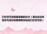 打好羽毛球需要掌握的技術(shù)（諶龍親自傳授羽毛球經(jīng)驗(yàn)整理教你如何打好羽毛球）