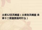 土星12宮天蝎座（土星在天蝎座 未來十二星座要面對什么）