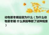 動(dòng)物要冬眠是因?yàn)槭裁矗槭裁磩?dòng)物要冬眠 什么原因?qū)е铝诉@種現(xiàn)象）