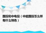 國投和中電投（中能國投怎么樣 有什么特色）