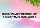 無形資產(chǎn)的入賬價值包括哪些 外購（無形資產(chǎn)的入賬價值包括哪些）
