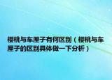 櫻桃與車厘子有何區(qū)別（櫻桃與車厘子的區(qū)別具體做一下分析）