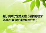 被小狗咬了緊急處理（被狗狗咬了怎么辦 緊急處理過程是什么）